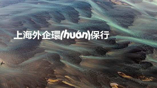 上海外企環(huán)保行業(yè)現(xiàn)狀與未來(lái)趨勢(shì)，全面解讀